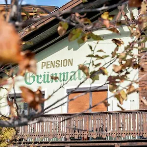 Gruenwald Guest house